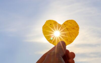 De energie van september: rustig terugschakelen
