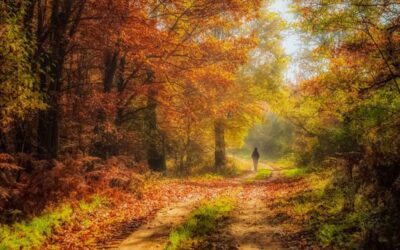 De energie van oktober: minder doen, meer zijn